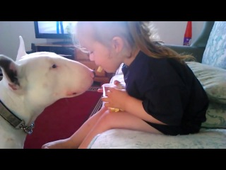 girl feeding a bull terrier